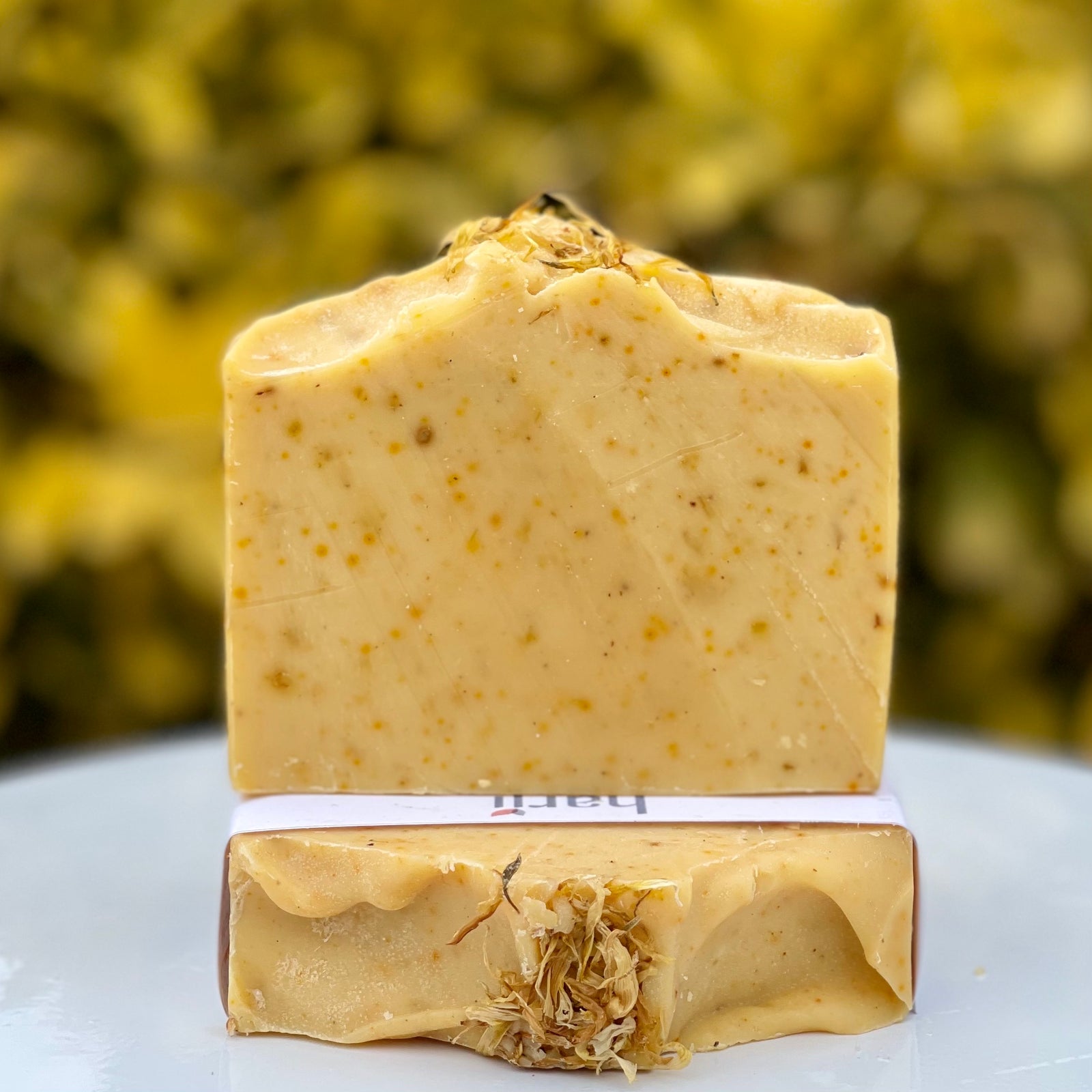 IMG_0914_1600x.jpg?v=1637857069